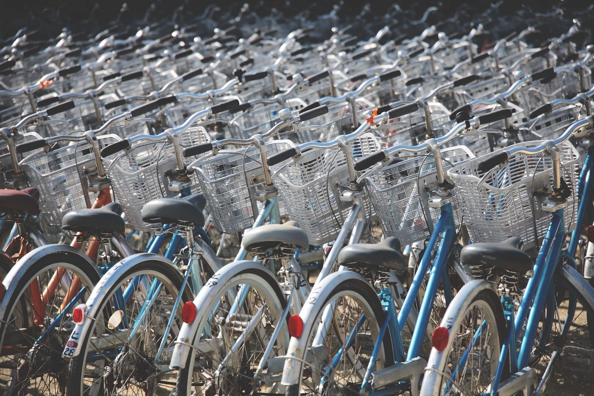 Critical Mass Cycle Ride