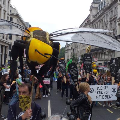 Bees Communicate By Dancing0a359b58 7ce4 2d2c Ed2c F8da667156c7