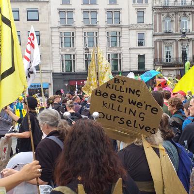 By Killing Bees We Re Killing Ourselves31e82029 Fcae 6aac 919d Ff69eea8afc5