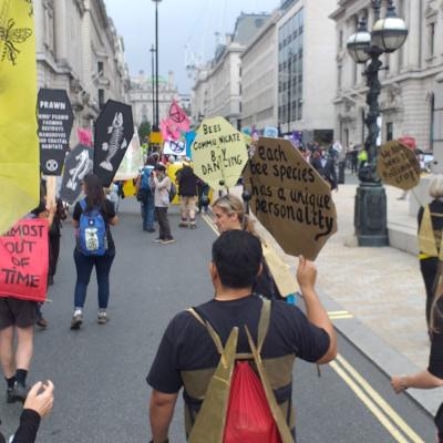 Pesticides Kill Bees2fdf5975 52cb 444f Ffb0 D05db55d0b22