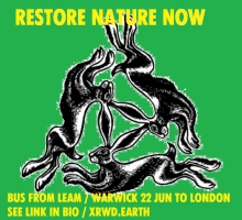 Workshop for Restore Nature Now